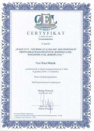 24.wady Cun Neuroscan I Ukladu Moczowego W Przypadkach Klinicznych Rozpoznanie Postepowanie Rokowanie 06.12.208